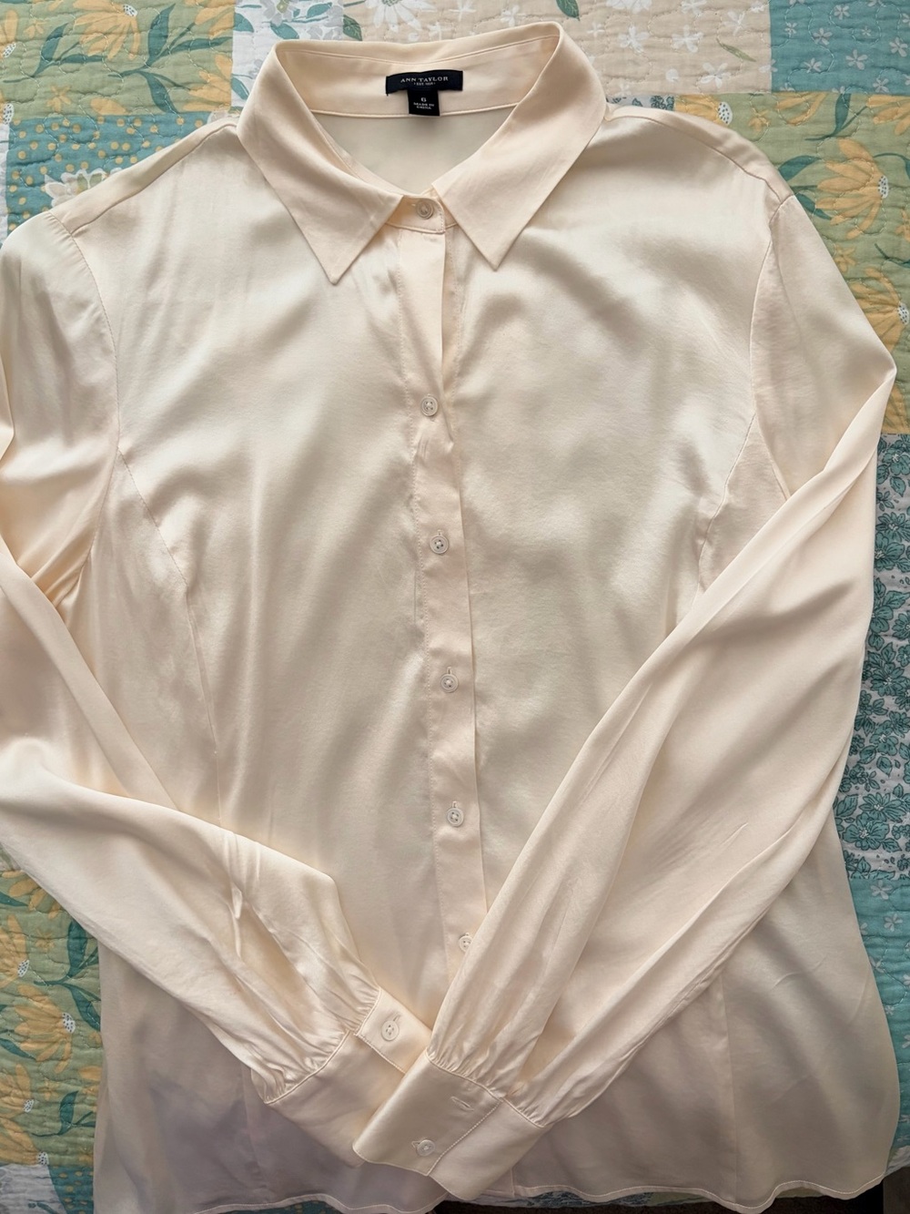 Ann Taylor Soft Cream Silk-Blend Button Front Blouse